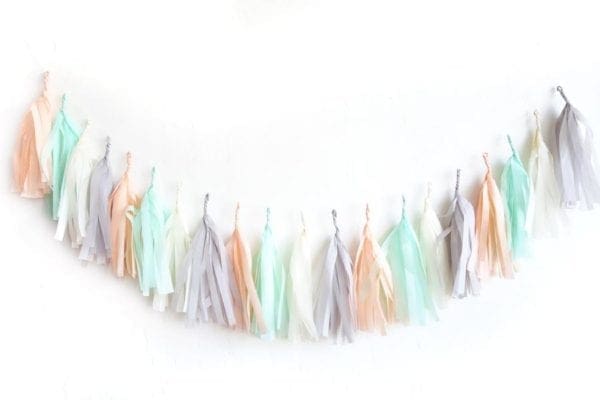 Birthday Party Tassels Peach Mint Grey