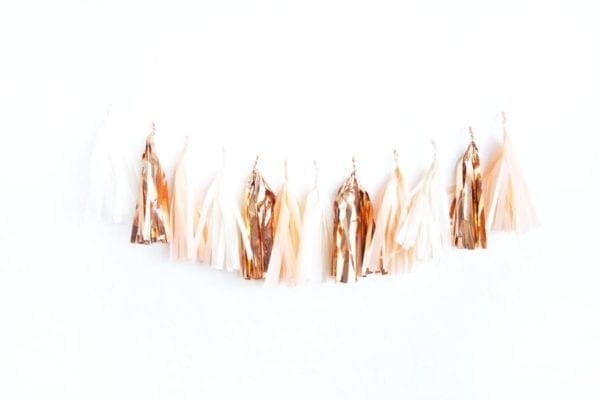 Birthday Party Tassels Rose Peach