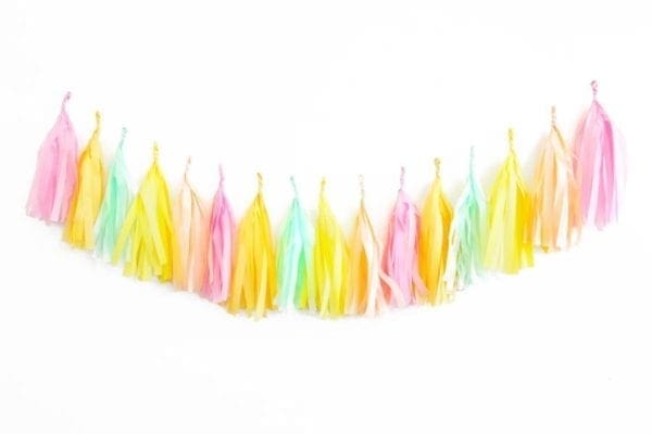 Birthday Party Tassels Summer Rainbow